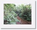 08-StLucia - 023